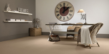 AW Stainguard Harvest 32 фото 2 | FLOORDEALER